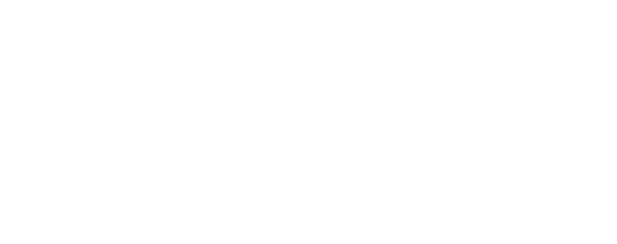 Rai — Pubblica Utilità, Media Partner